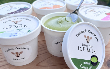 ジャージー牛の生乳を使用したアイス6個セット(ミルク・チョコ・コーヒー・いちご・抹茶・かぼちゃ)【配送不可地域：離島】【1576638】