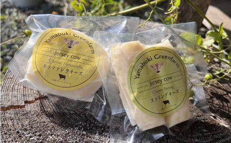 ジャージー牛のチーズ 2種セット【配送不可地域:離島】【1576776】