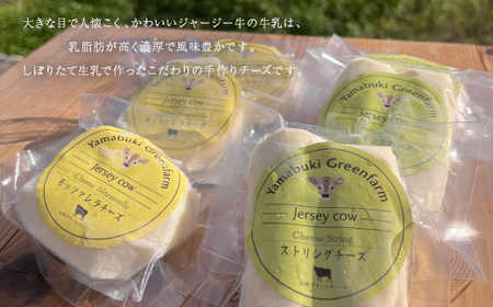 ジャージー牛のチーズ 2種セット【配送不可地域:離島】【1576776】