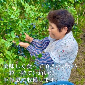 栽培期間中農薬・化学肥料不使用　吉賀町産冷凍ブルーベリー　1kg【配送不可地域：離島】【1707817】