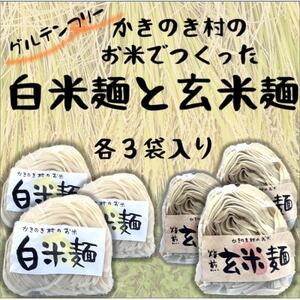 かきのき村のお米でつくった白米麺と玄米麺のセット(各3袋入り)【1713864】