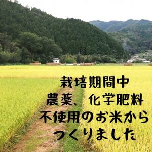 かきのき村のお米でつくった白米麺と玄米麺のセット(各3袋入り)【1713864】