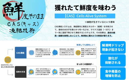 【海士のいわがき】殻付き Lサイズ 3個 岩牡蠣 生食可 新鮮クリーミー 冷凍 牡蛎 牡蠣 かき カキ 岩牡蠣 いわがき CAS CAS冷凍 父の日 母の日 バーベキュー ギフト