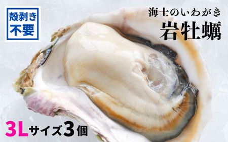 【殻剥き不要】ブランド岩牡蠣「春香」殻なし巨大3Lサイズ×3個（960g～1.2kg）
