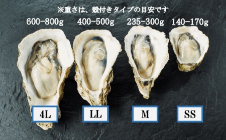 【殻剥き不要】ブランド岩牡蠣「春香」殻なし巨大3Lサイズ×3個（960g～1.2kg）