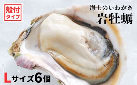 ブランドいわがき春香】殻付き Lサイズ 6個 岩牡蠣 生食可 新鮮