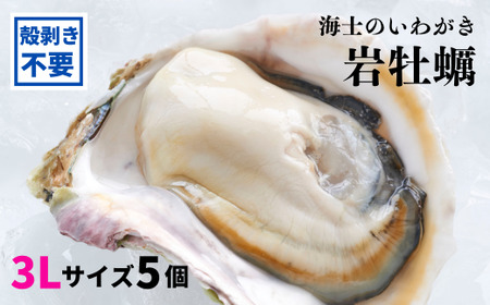 海士の巨大いわがき5個セット