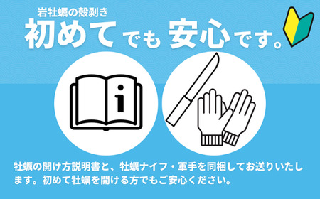 【海士のいわがき】殻付き Lサイズ 10個 岩牡蠣 生食可 新鮮クリーミー 冷凍 牡蛎 牡蠣 かき カキ 岩牡蠣 いわがき CAS CAS冷凍 父の日 母の日 バーベキュー ギフト