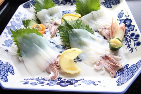 小さな白いか姿6パックセット