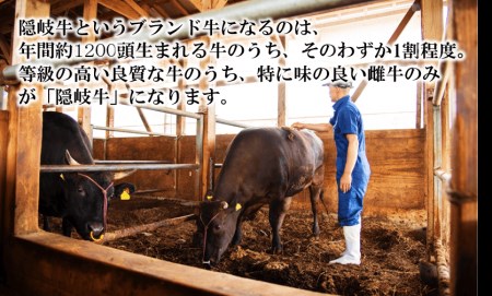 【A5・A4等級】希少部位！幻の黒毛和牛・隠岐牛肉塊セット2.4kg