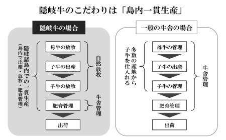 【A5・A4等級】希少部位！幻の黒毛和牛・隠岐牛肉塊セット2.4kg