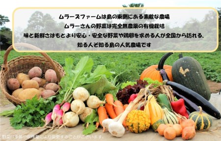 季節の野菜詰め合わせ（5～6種）！農薬不使用だから安心安全！