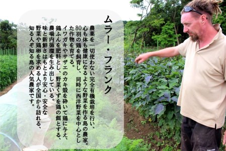 季節の野菜詰め合わせ（4～5種）と平飼い卵セット！農薬不使用だから安心安全！