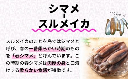【柔らかスルメイカ】春シマメ スルメイカ 肝醤油漬け３種 食べ比べセット