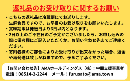 先行予約受付：【2026年 3月中旬以降順次お届け】【生のいわがきMサイズ6個】岩牡蠣 生牡蠣 牡蠣 いわがき春香 生食可 旬の時期だけ