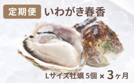 【定期便】いわがき春香定期便3ヶ月