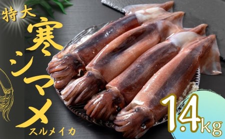 【のし付き】【朝どれ寒シマメ 大サイズ 4～5杯】1.4kg～1.6kg いか イカ スルメイカ 朝どれ寒シマメ 御歳暮 ギフト 12月24日までのご注文で年内発送朝どれ寒シマメ スルメイカ いか イカ スルメイカ CAS CAS冷凍 父の日 母の日 バーベキュー ギフト