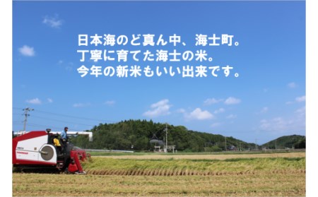 【 海士町産きぬむすめ5kg】島のきぬむすめをお届け！ お米 精米 白米 弁当 ごはん ご飯 きぬむすめ ギフト