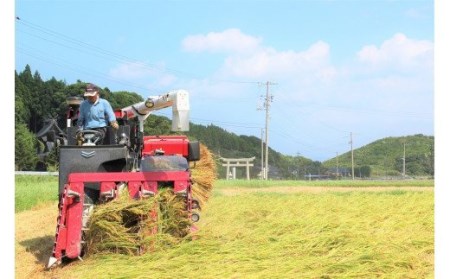 【 海士町産きぬむすめ5kg】島のきぬむすめをお届け！ お米 精米 白米 弁当 ごはん ご飯 きぬむすめ ギフト