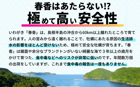 先行予約受付:【2026年 3月以降順次お届け】【生のいわがき春香 Sサイズ6個】 岩牡蠣 生牡蠣 牡蠣 いわがき春香 生食可 旬の時期だけ