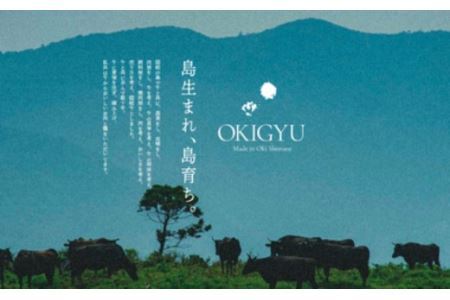 【隠岐牛プレミアム生ハンバーグ 4個】600g 天然塩付 島生まれ島育ちのブランド黒毛和牛 隠岐牛 黒毛和牛 ハンバーグ 牛肉 肉 ブランド牛 母の日 父の日 バーベキュー ギフト 冷凍 個包装