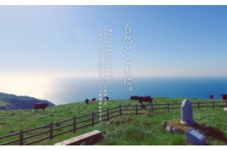 【隠岐牛プレミアム生ハンバーグ 4個】600g 天然塩付 島生まれ島育ちのブランド黒毛和牛 隠岐牛 黒毛和牛 ハンバーグ 牛肉 肉 ブランド牛 母の日 父の日 バーベキュー ギフト 冷凍 個包装