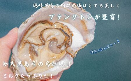 【知夫里島産 岩牡蠣 2kg(殻剥き道具セット付)】ブランド 岩牡蠣 生食可 牡蛎 牡蠣 かき