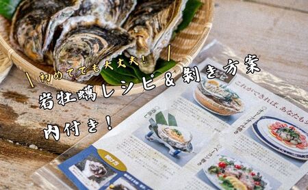 【知夫里島産 岩牡蠣 2kg(殻剥き道具セット付)】ブランド 岩牡蠣 生食可 牡蛎 牡蠣 かき