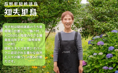 【ちぶり島めかぶコロッケ6個入り×3袋】めかぶ コロッケ ごほうび ごちそう 美味しい パーティー おもてなし 人気 簡単 時短 タイムパフォーマンス 小分け 冷凍 隠岐 知夫里島