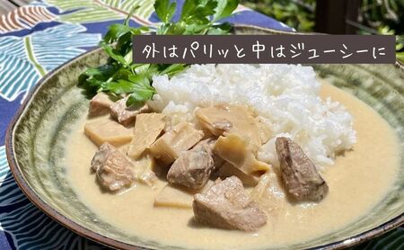 【漁師直送】知夫里島オリジナル鰤カレーセット 3食パック ココナッツ風味 隠岐 知夫里島 本格カレー