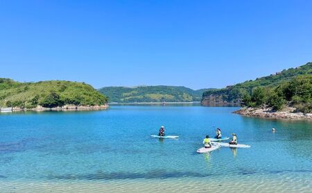 【隠岐ユネスコ世界ジオパーク】島津島SUP体験ツアー｜体験1回｜2名様分 観光 旅行 絶景 透明 自然 海 知夫里島 離島 牛 ガイド付