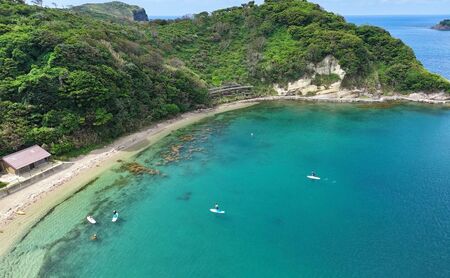 【隠岐ユネスコ世界ジオパーク】島津島SUP体験ツアー｜体験1回｜2名様分 観光 旅行 絶景 透明 自然 海 知夫里島 離島 牛 ガイド付