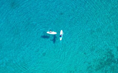 【隠岐ユネスコ世界ジオパーク】島津島SUP体験ツアー｜体験1回｜2名様分 観光 旅行 絶景 透明 自然 海 知夫里島 離島 牛 ガイド付