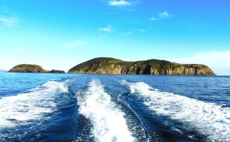 【隠岐世界ユネスコジオパーク】赤壁遊覧船ガイドツアー｜体験1回｜2名様分 せきへき レッドクリフ 旅行 観光 50分 貴重 知夫里島 海 離島