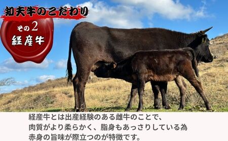【TBS 「熱狂マニアさん！」で紹介】 経産牛サーロインステーキ３００g ステーキ 牛肉 経産牛 放牧 黒毛和牛 国産 サーロイン 赤身 冷凍