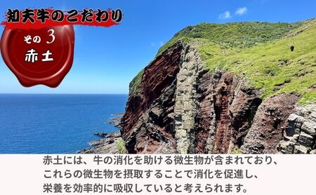 【TBS 「熱狂マニアさん！」で紹介】 経産牛サーロインステーキ３００g ステーキ 牛肉 経産牛 放牧 黒毛和牛 国産 サーロイン 赤身 冷凍