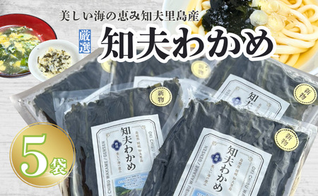 【知夫里産】養殖わかめ 5袋セット 国産 島根県 隠岐 ちぶり 海の幸 海鮮 海産物　