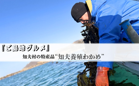【知夫里産】養殖わかめ 5袋セット 国産 島根県 隠岐 ちぶり 海の幸 海鮮 海産物　