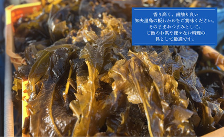 【知夫里産】養殖わかめ 5袋セット 国産 島根県 隠岐 ちぶり 海の幸 海鮮 海産物　
