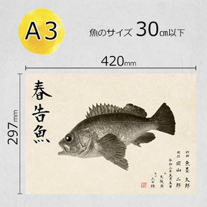 デジタル魚拓 A3サイズ オーダーメイド 和紙 フィッシング 釣り 魚拓