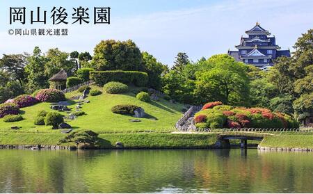 【岡山市】JTBふるさと旅行券（90,000円分）有効期間5年 | 予約 宿泊 観光 体験 温泉 ホテル 旅館 チケット 子供 子連れ カップル 家族 店頭 電話 岡山