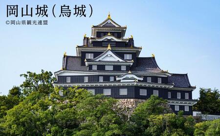 【岡山市】JTBふるさと旅行券（900,000円分）有効期間5年 | 予約 宿泊 観光 体験 温泉 ホテル 旅館 チケット 子供 子連れ カップル 家族 店頭 電話 岡山