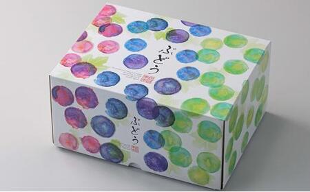 農家こだわりのシャインマスカット 2~3房 合計約1.2kg | シャインマスカット