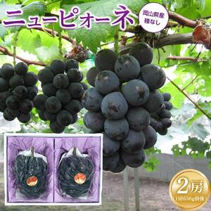 ぶどう 2026年 ニュー ピオーネ 2房（1房約650g前後）産地直送 ぶどう ピオーネ