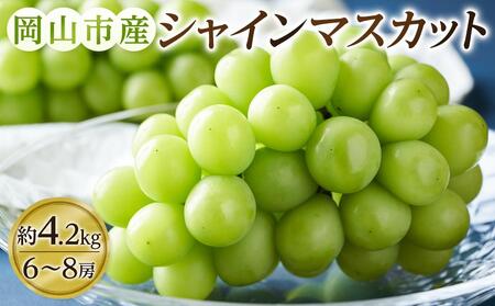 ぶどう 2024年 先行予約 シャイン マスカット 6～8房（約4.2kg） ブドウ 葡萄 岡山市産 国産 フルーツ 果物 ギフトタンポポ農園[No.5220-1294]