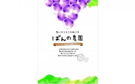 ぶどう 2026年  甲斐ノワール（ぶどう）約800g 農薬散布無し ハウス栽培  ブドウ 葡萄  岡山県産 国産 フルーツ 果物  ばんの農園