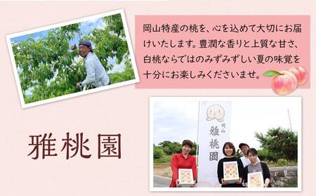 桃 2025年 先行予約 ご家庭用 岡山 白桃 4玉～６玉 1.2kg 前後 もも 岡山県産【 桃 桃 桃 桃 桃 】