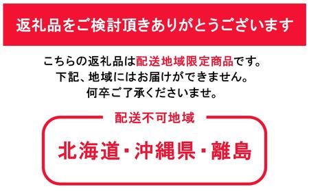 ぶどう 2025年 先行予約 岡山県産 ニューピオーネ 4房 約2kg 先行予約 贈答 ぶどう園AC