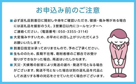 岡山県産 シャインマスカット・ピオーネ 2種 詰め合わせ 計2kg（3～4房）ぶどう園AC