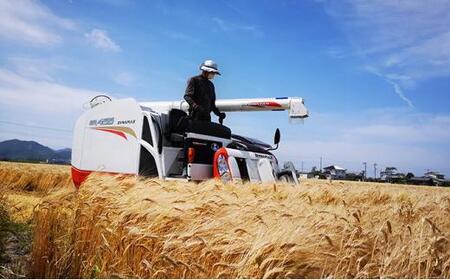 令和7年産 岡山西大寺の幸せ もち麦 (キラリモチ) 数量限定 2kg(500g×4) | 米 米